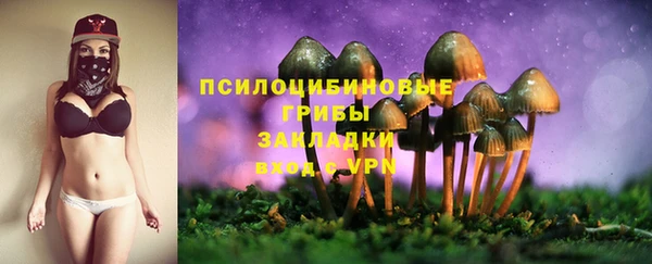 таблы Коряжма
