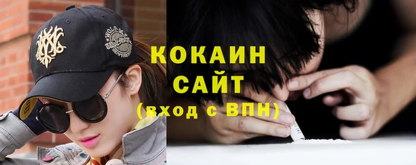 шишки Костерёво