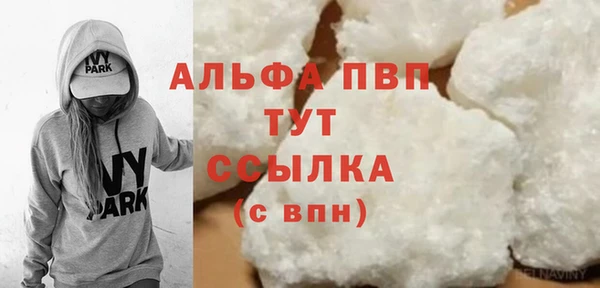 ПСИЛОЦИБИНОВЫЕ ГРИБЫ Бородино