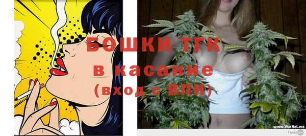 ПСИЛОЦИБИНОВЫЕ ГРИБЫ Бородино
