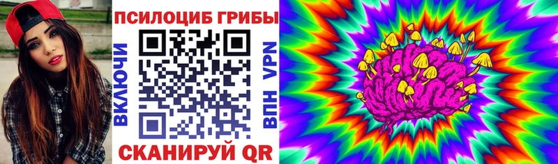 Псилоцибиновые грибы мицелий Вилючинск